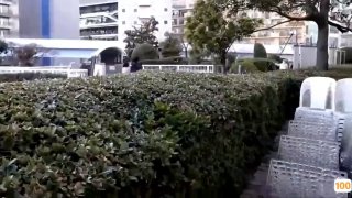吊带衫性感美女⭕❌❌转转流量包69元